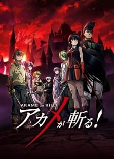 Akame ga Kill promotional poster featuring the main cast
