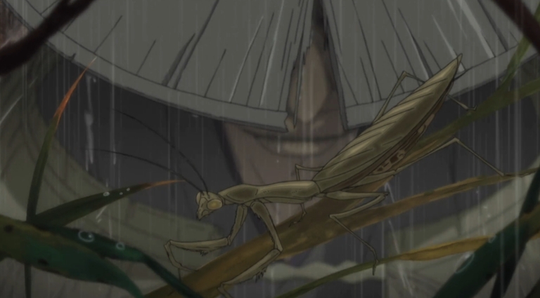 Praying mantis in rain